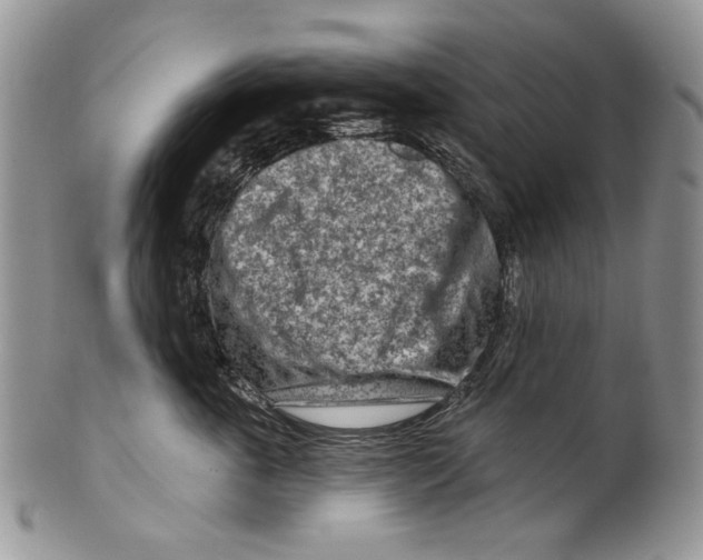 X0000099540763200806131149