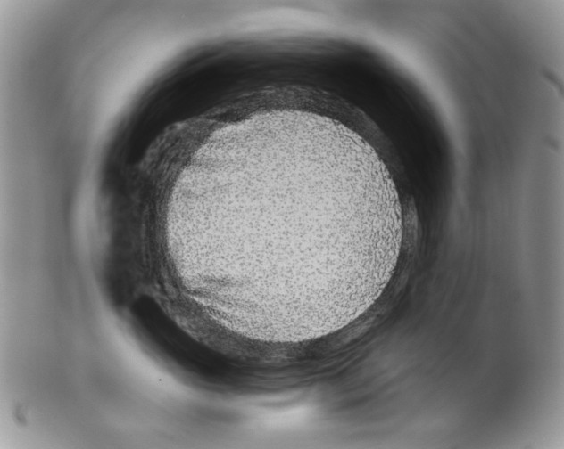 X0000099540765200806131149