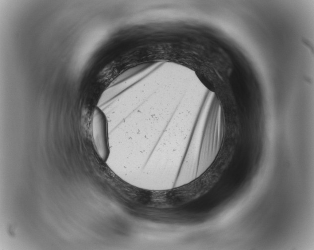 X0000099540766200806131149