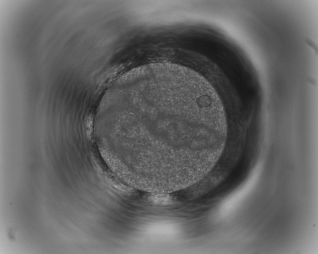 X0000099540767200806131149