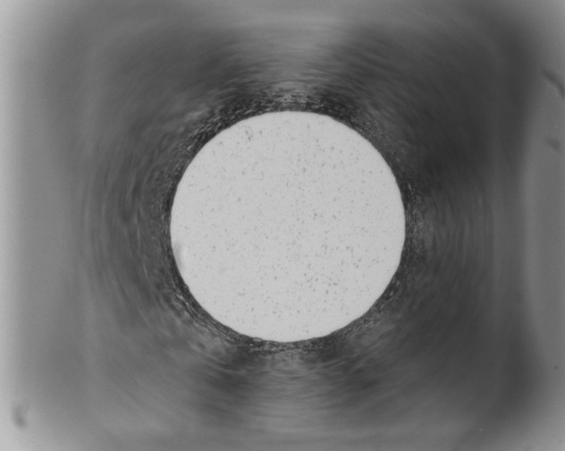 X0000099540769200806131148