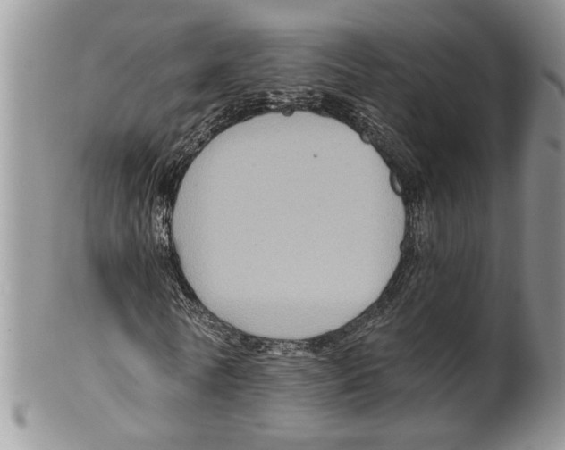 X0000099540770200806131148