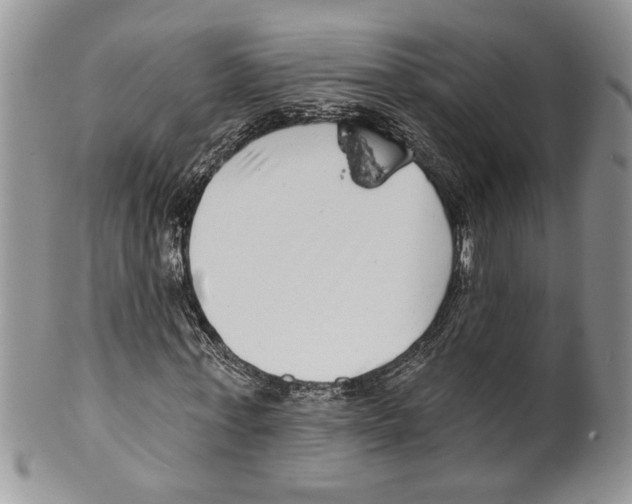 X0000099540771200806131148