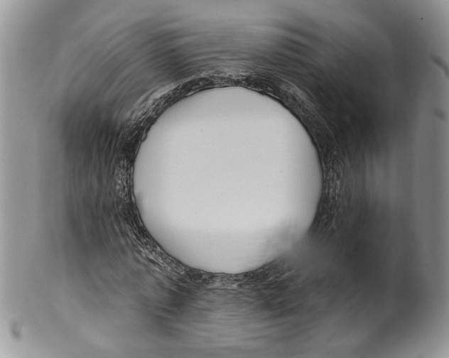 X0000099540773200806131148