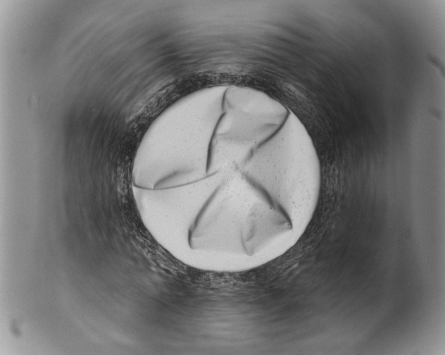 X0000099540774200806131148