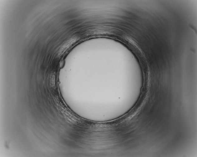 X0000099540777200806131148