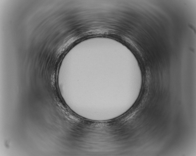 X0000099540778200806131148