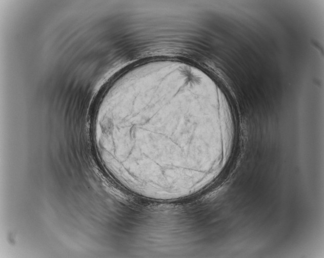 X0000099540779200806131148
