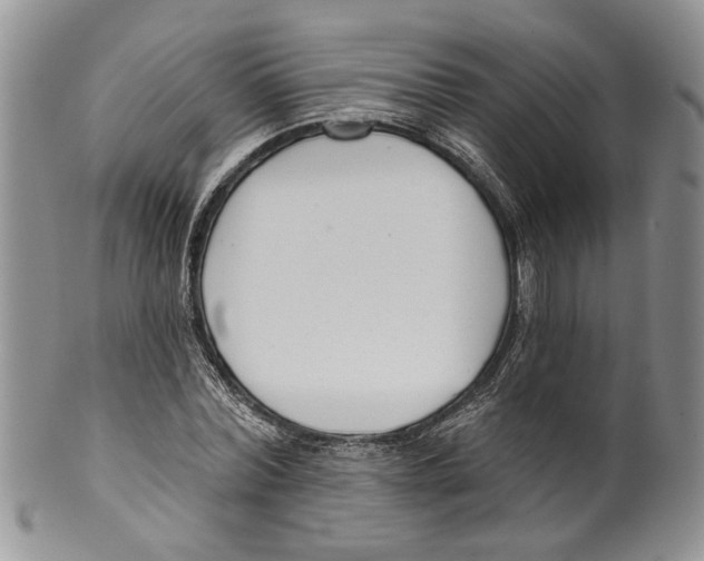 X0000099540780200806131148