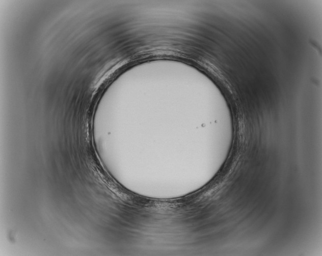 X0000099540782200806131148