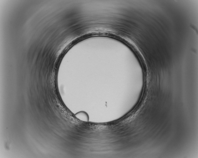 X0000099540783200806131148