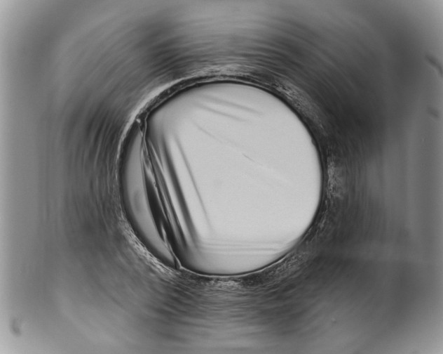 X0000099540784200806131148