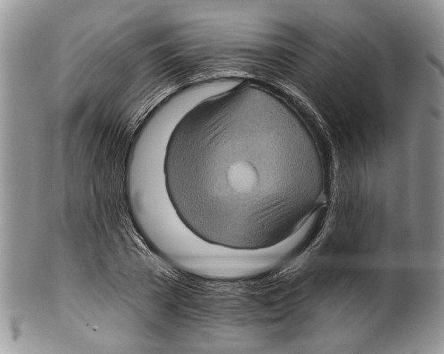 X0000099540785200806131148