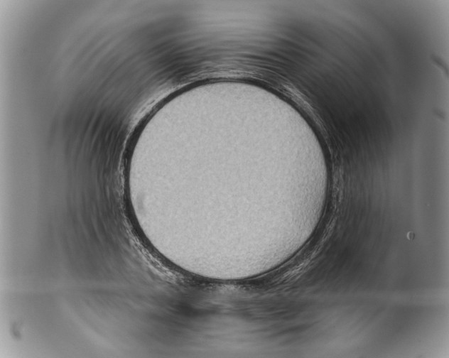 X0000099540787200806131148