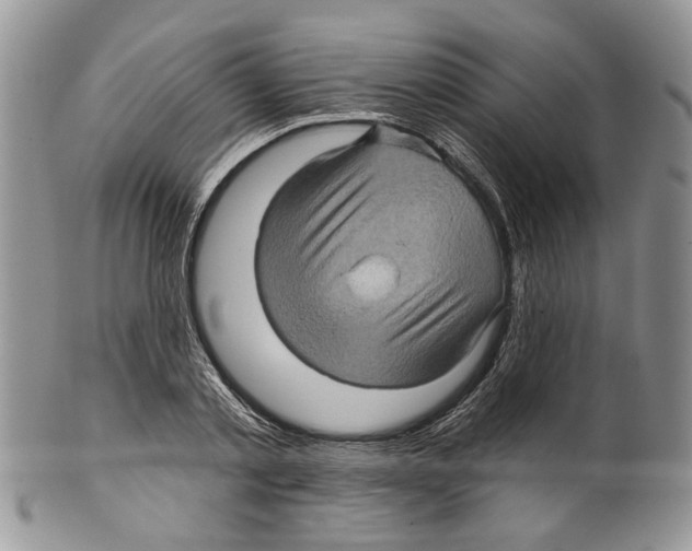 X0000099540789200806131148