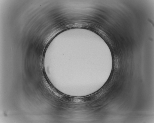 X0000099540794200806131148