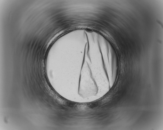 X0000099540798200806131148