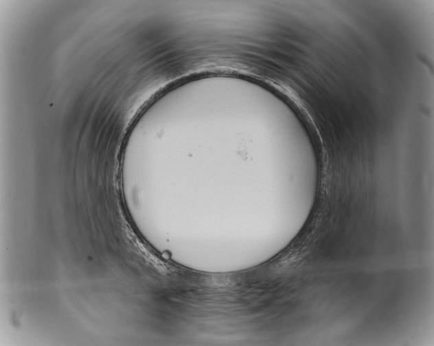 X0000099540799200806131148