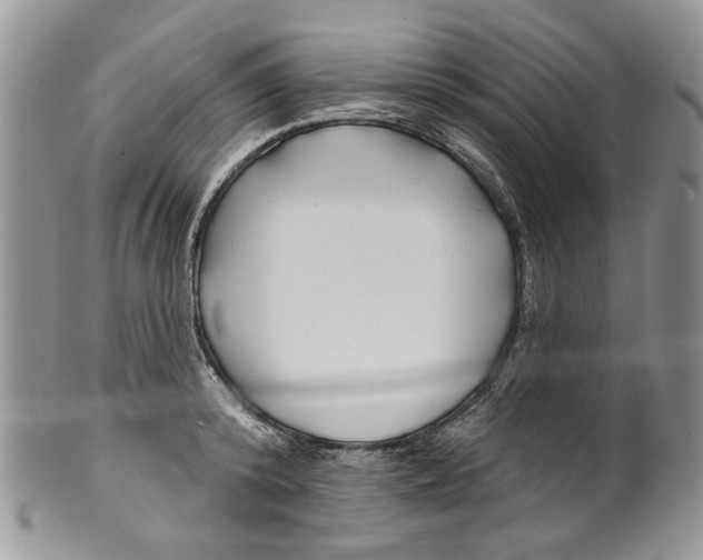 X0000099540800200806131148