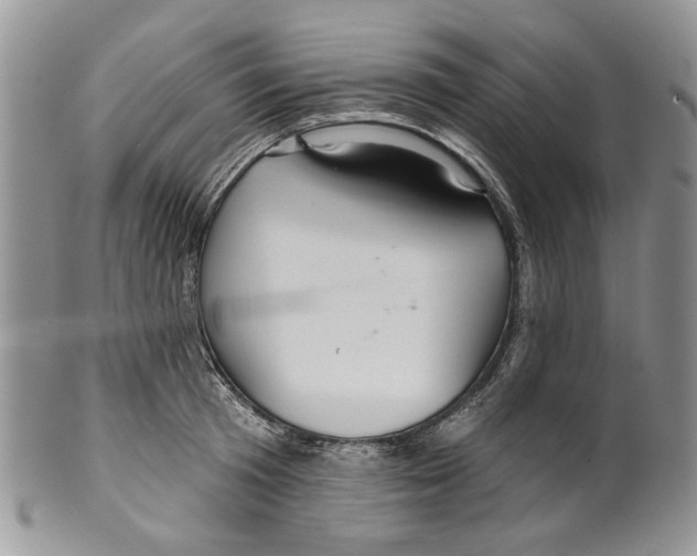 X0000099540801200806131148