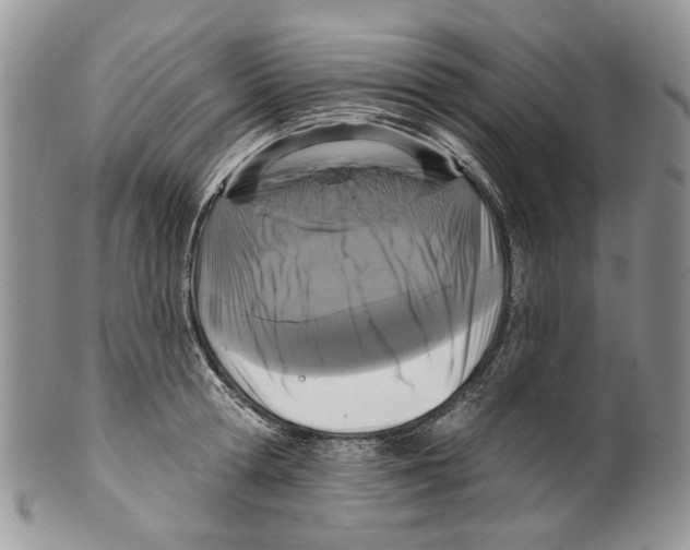 X0000099540802200806131148