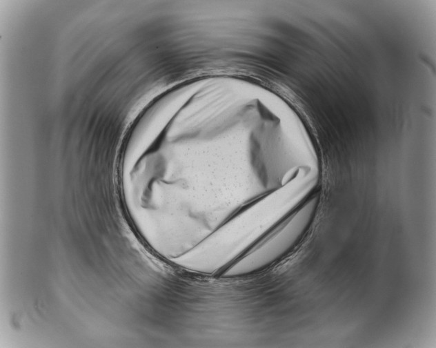 X0000099540803200806131148