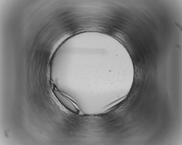 X0000099540804200806131148