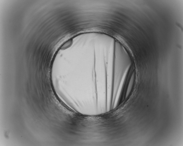 X0000099540805200806131148