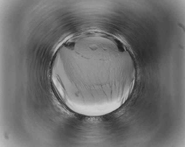 X0000099540806200806131148