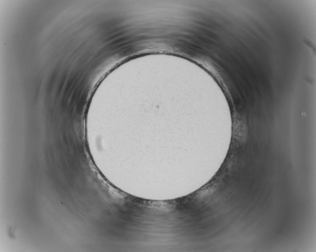 X0000099540807200806131148