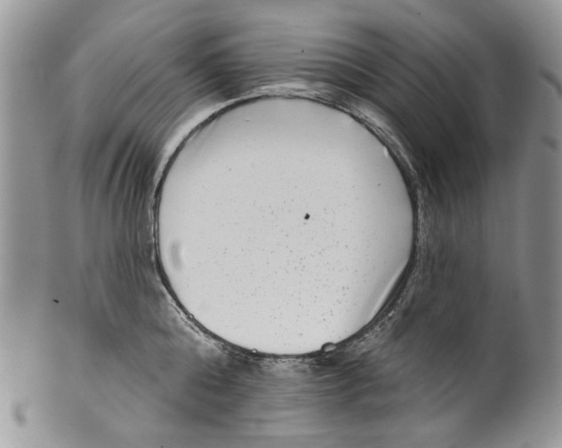 X0000099540808200806131148