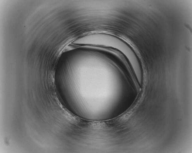 X0000099540809200806131148