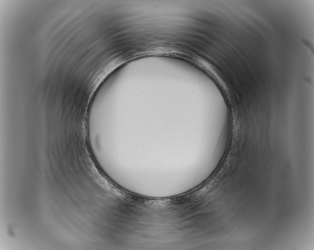 X0000099540810200806131148