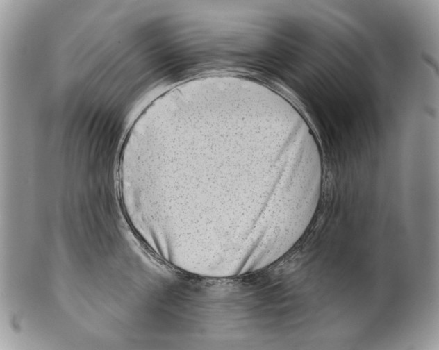 X0000099540811200806131148