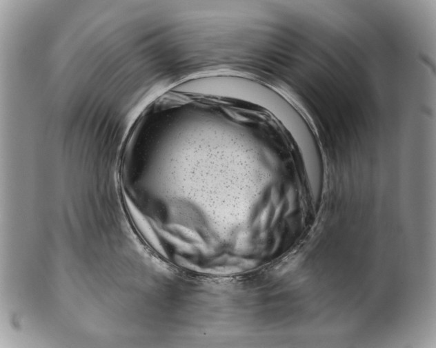 X0000099540813200806131148