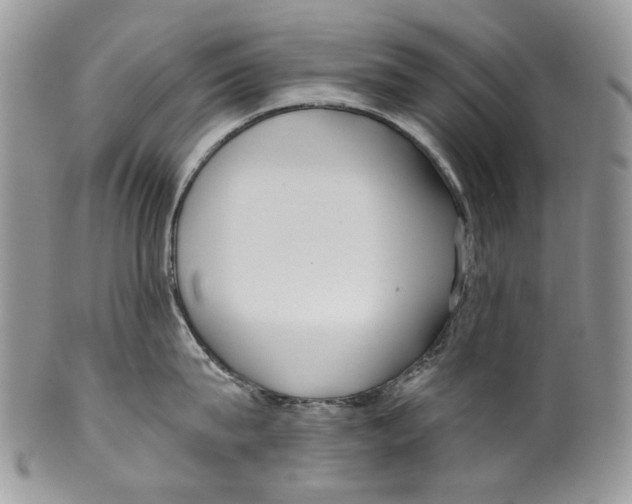 X0000099540815200806131147