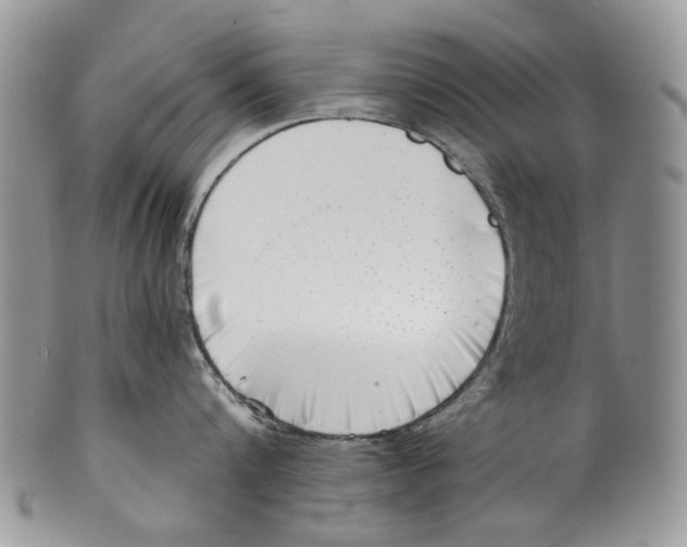 X0000099540816200806131147