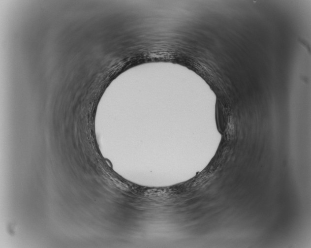 X0000099540817200806131147