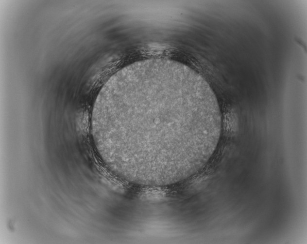 X0000099540820200806131147