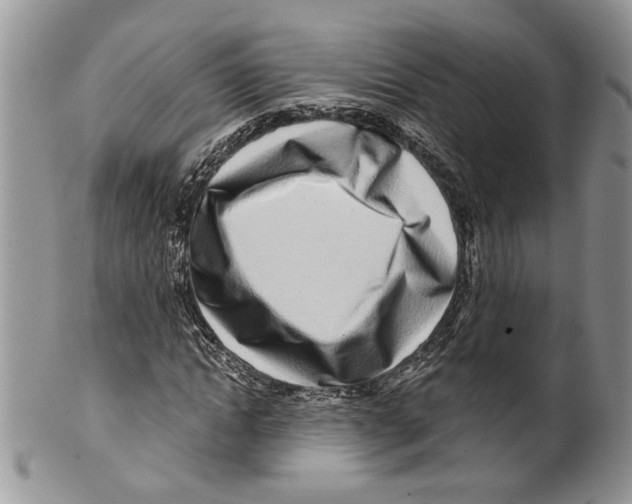 X0000099540822200806131147