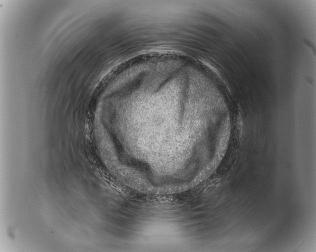 X0000099540823200806131147