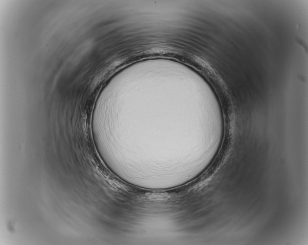 X0000099540825200806131147