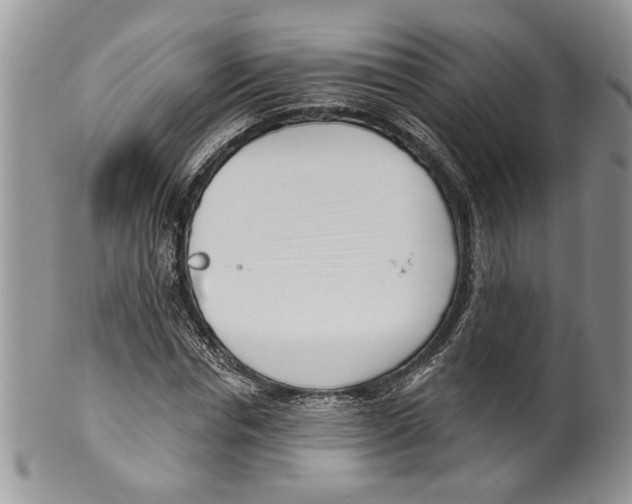 X0000099540826200806131147