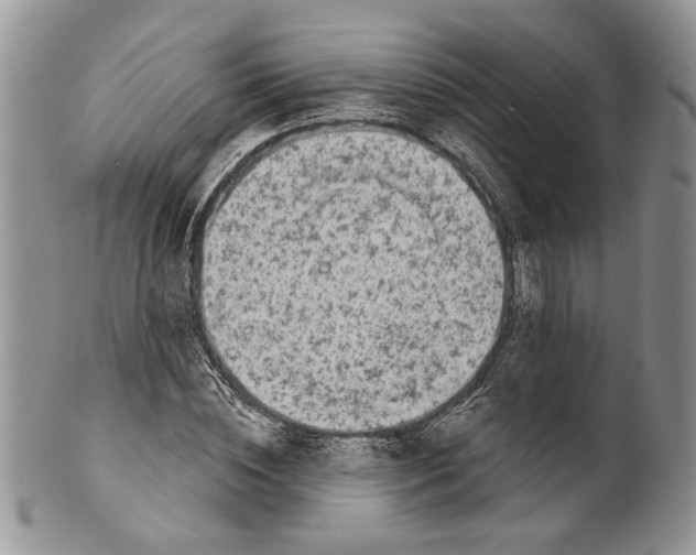 X0000099540828200806131147