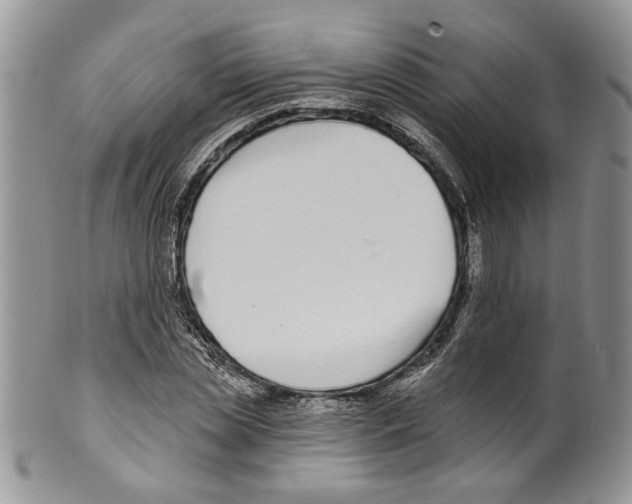 X0000099540829200806131147