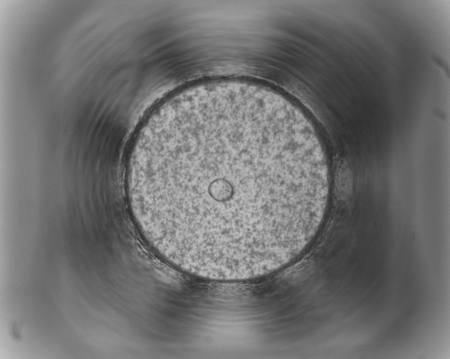 X0000099540832200806131147