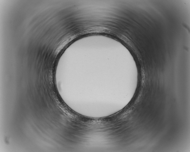 X0000099540834200806131147