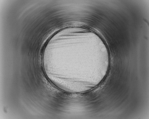 X0000099540835200806131147