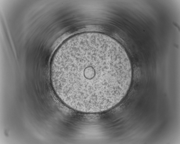 X0000099540836200806131147