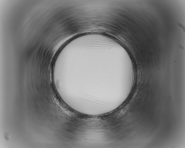 X0000099540838200806131147